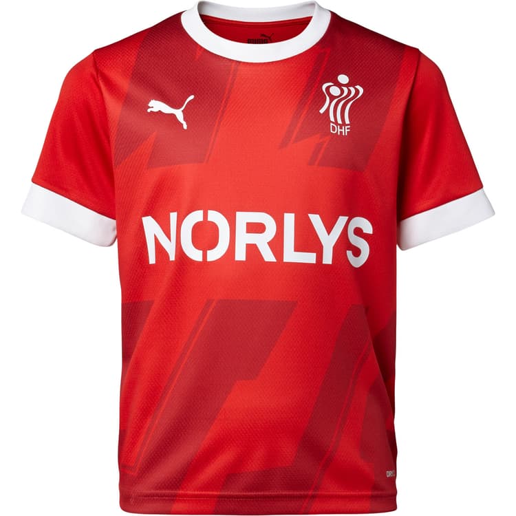 Puma Danmark Håndbold Landsholdstrøje 22/23 Børn