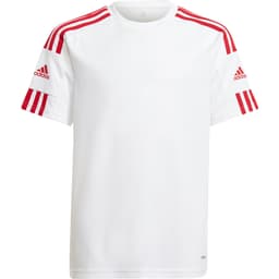 WHITE/TMPWRD/DMARIN