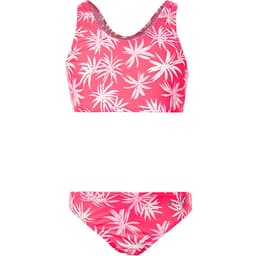 Pitaya Pink