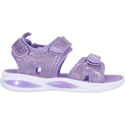 Lavendula