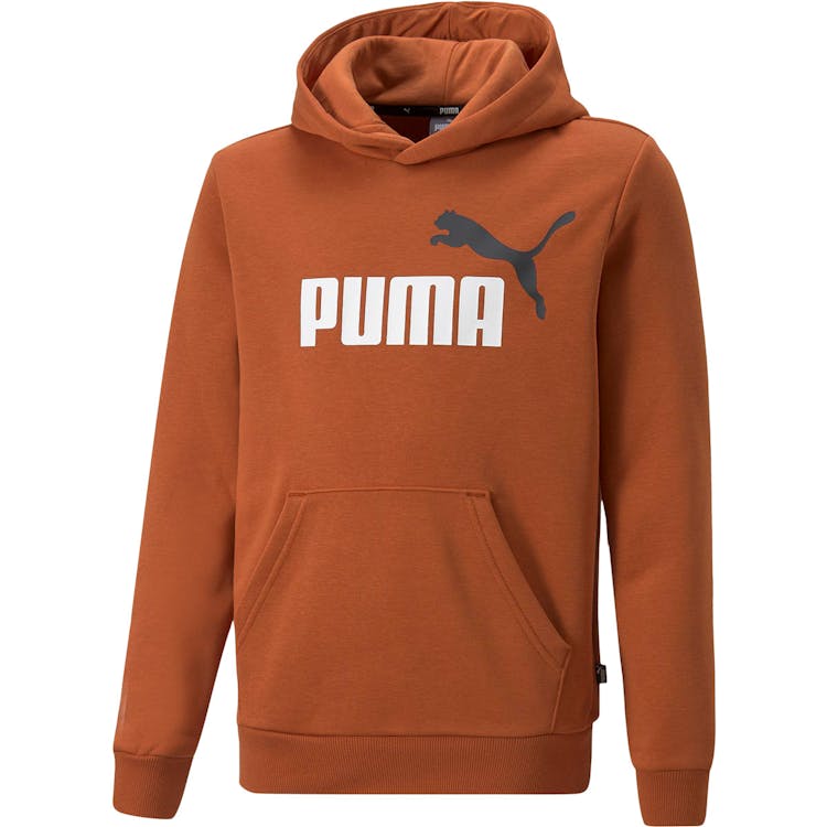 Puma Essential 2 Color Big Logo Hættetrøje Børn